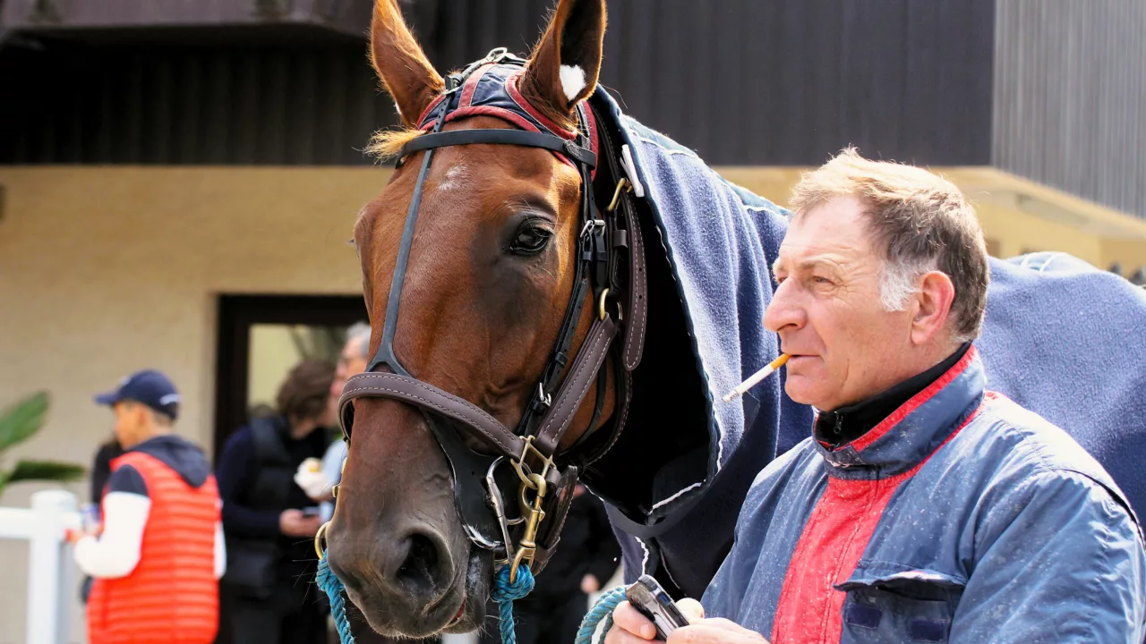Résultat des pronostics PMU octobre 2025