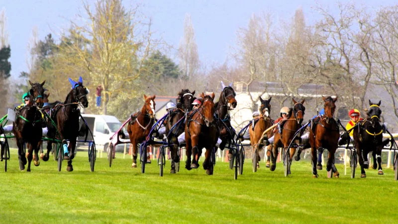 Résultat PMU du lundi 8 septembre 2025