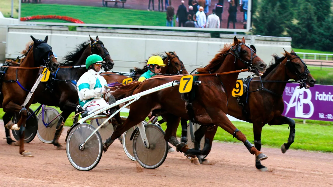 Résultat pmu du mercredi 8 octobre 2025