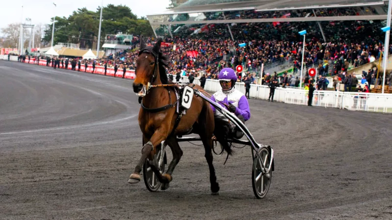 Résultat quinté du samedi 13 septembre 2025