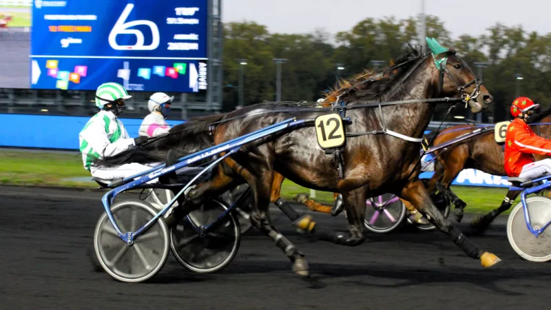 Résultat quinte du vendredi 5 septembre 2025