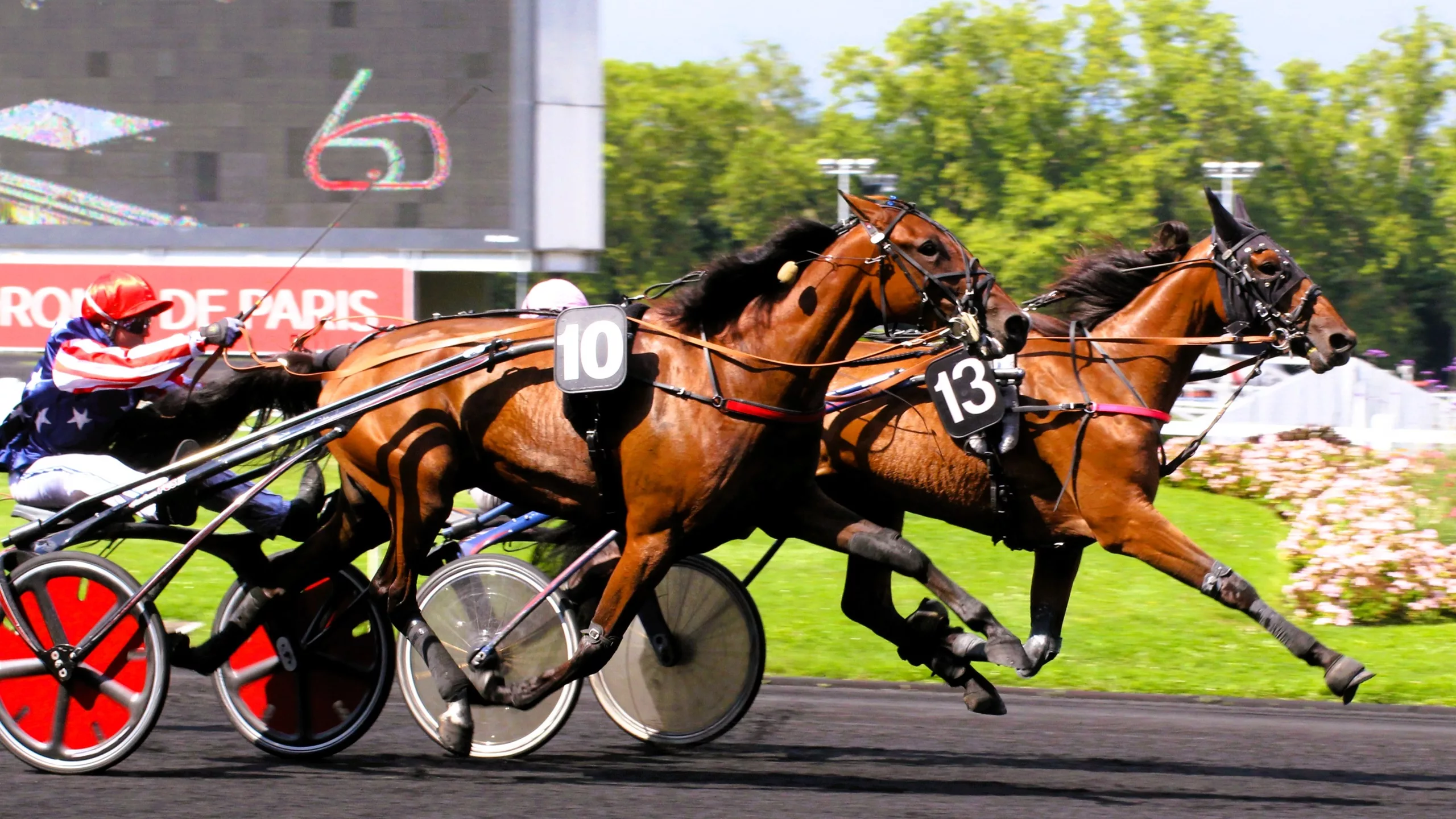 Arrivée du Quinté du jeudi 30 octobre 2025