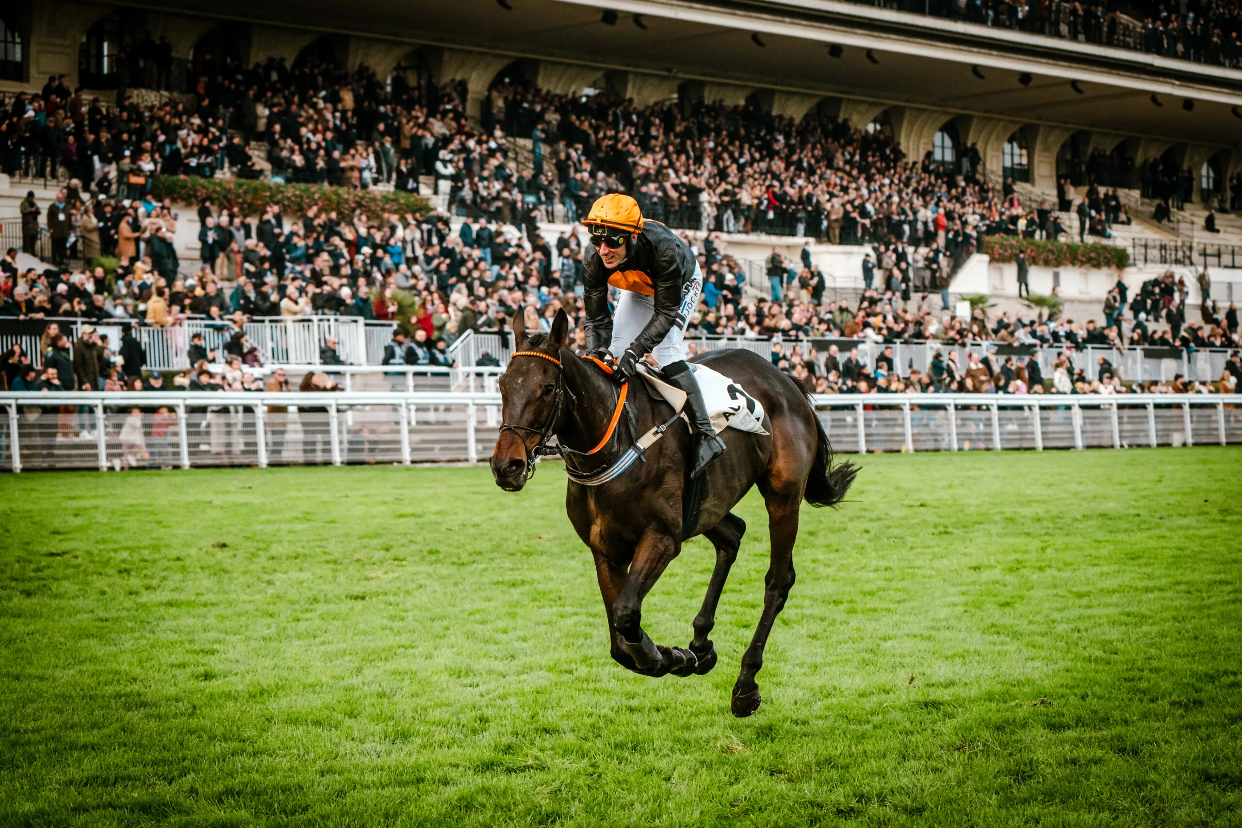 Arrivée du Quinté du mercredi 29 octobre 2025