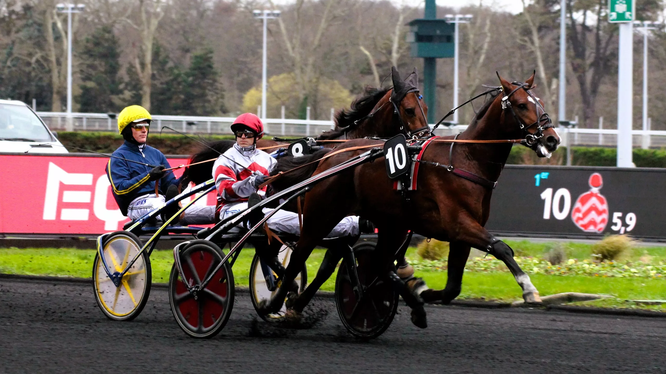 Arrivée du Quinté du samedi 8 novembre 2025