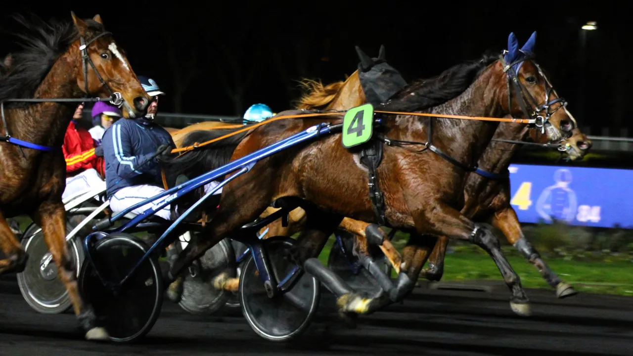 Arrivée du quinté du vendredi 7 novembre 2025