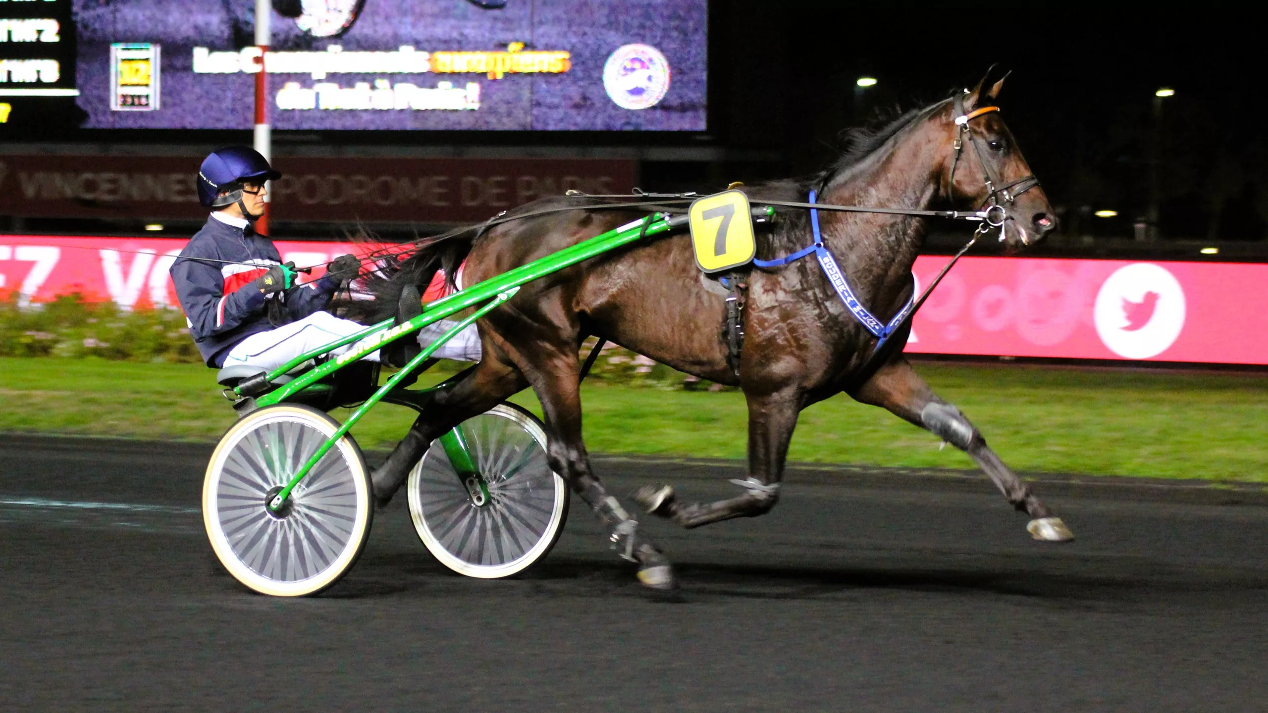 Arrivée et rapports PMU quinté du vendredi 31 octobre 2025