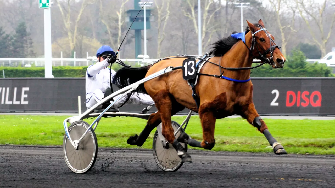 Arrivée et rapports du Quinté du mardi 4 novembre 2025