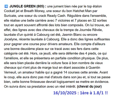 Pronostic pmu gagnant du 17 octobre 2025