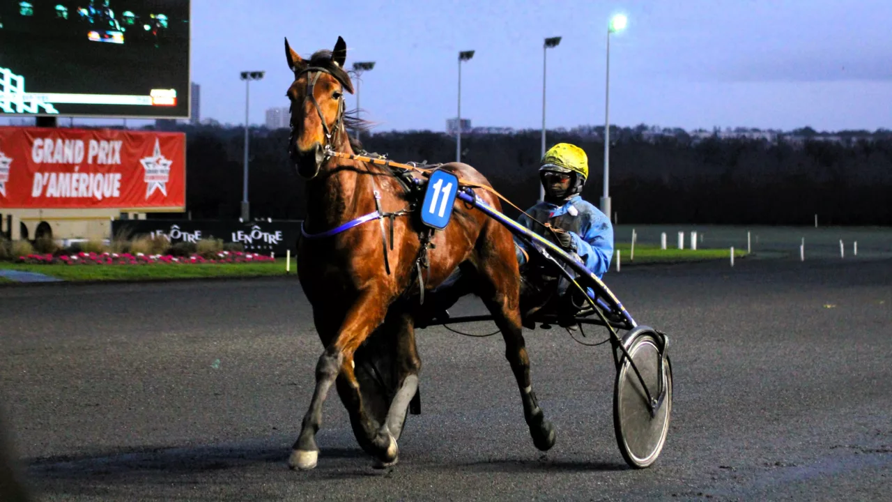 Pronostic PMU du vendredi 24 octobre 2025