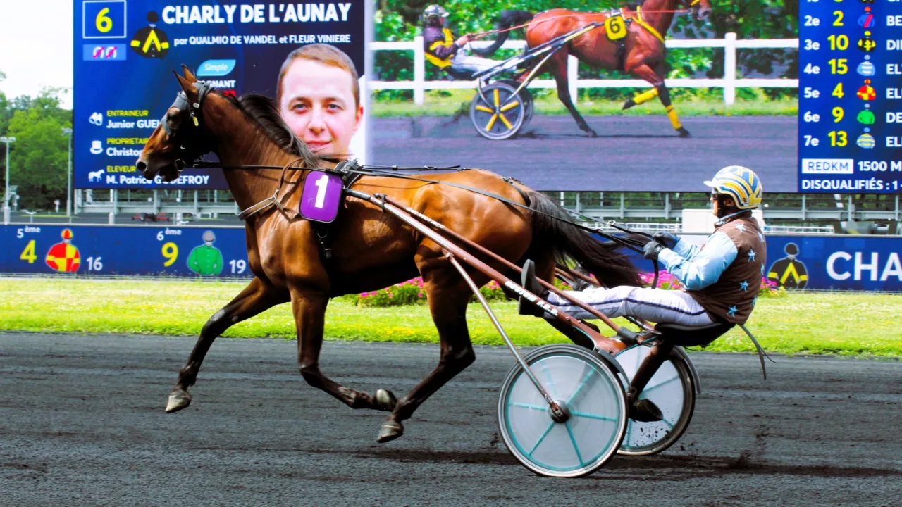 Pronostic Quinté du jeudi 30 octobre 2025 à Vincennes