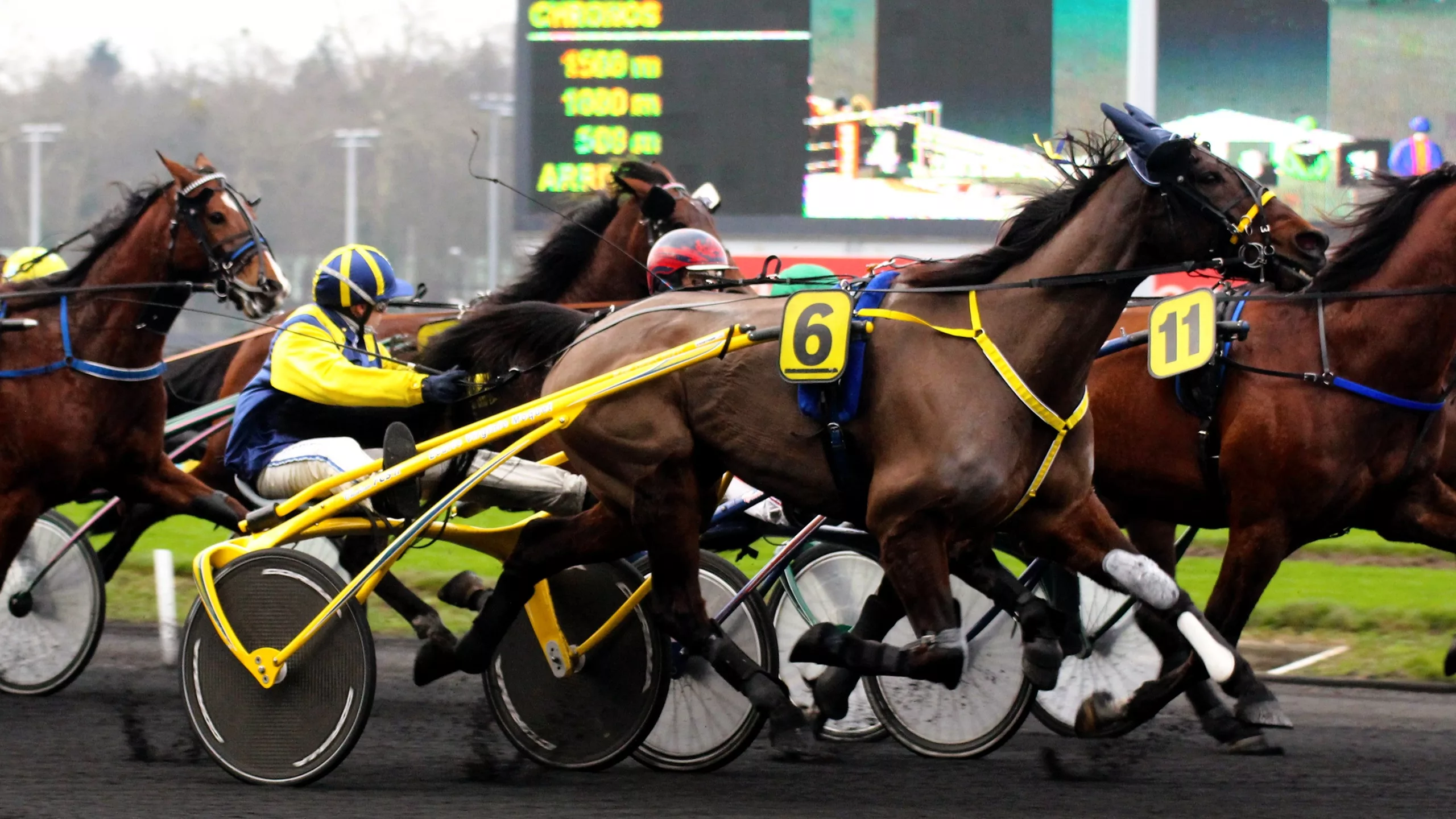 Pronostic Quinté du mardi 4 novembre 2025