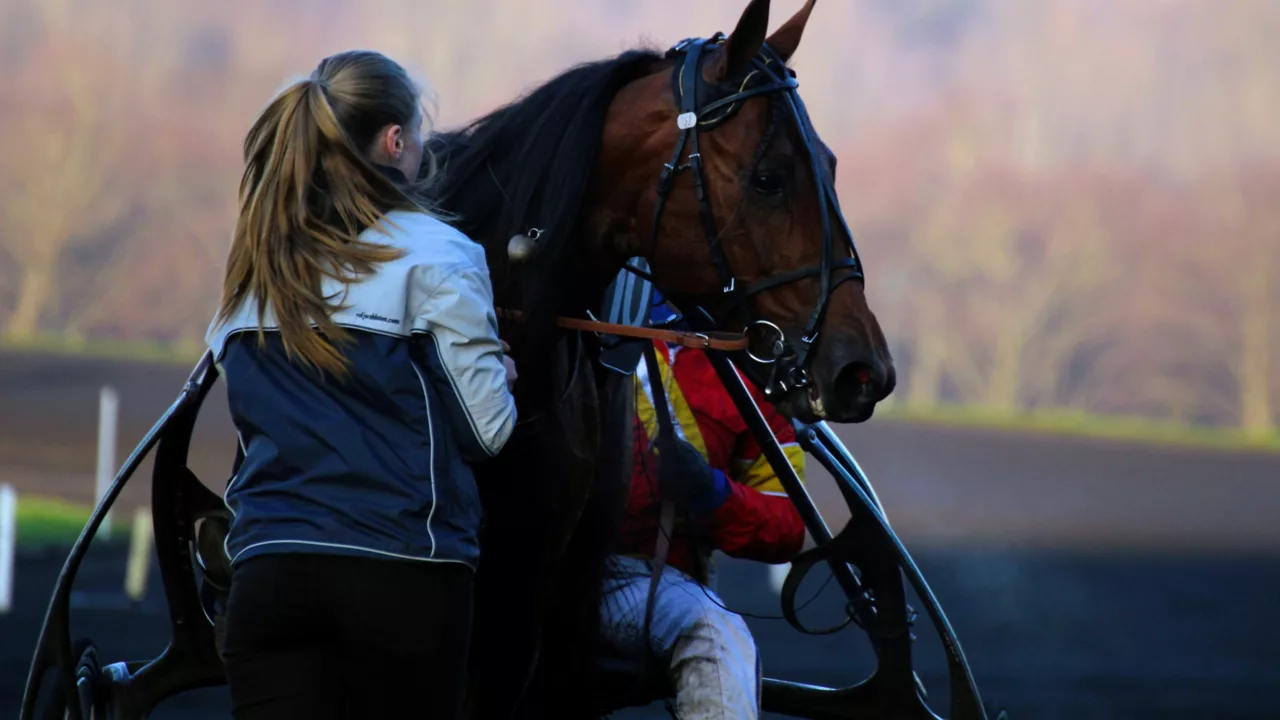 Pronostic Quinté du mercredi 22 octobre 2025