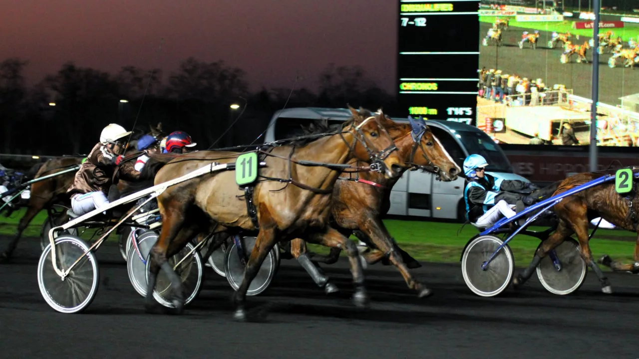 Pronostic quinté du vendredi 10 octobre 2025