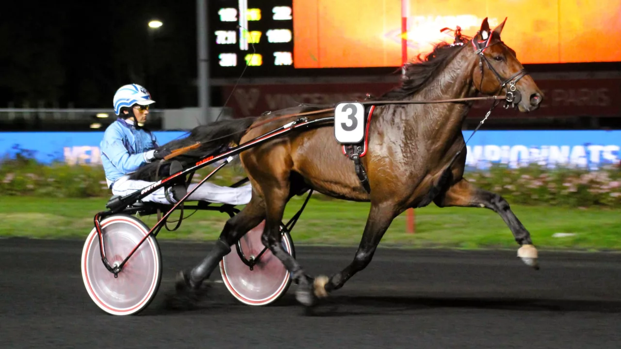 Pronostic quinté du vendredi 31 octobre 2025