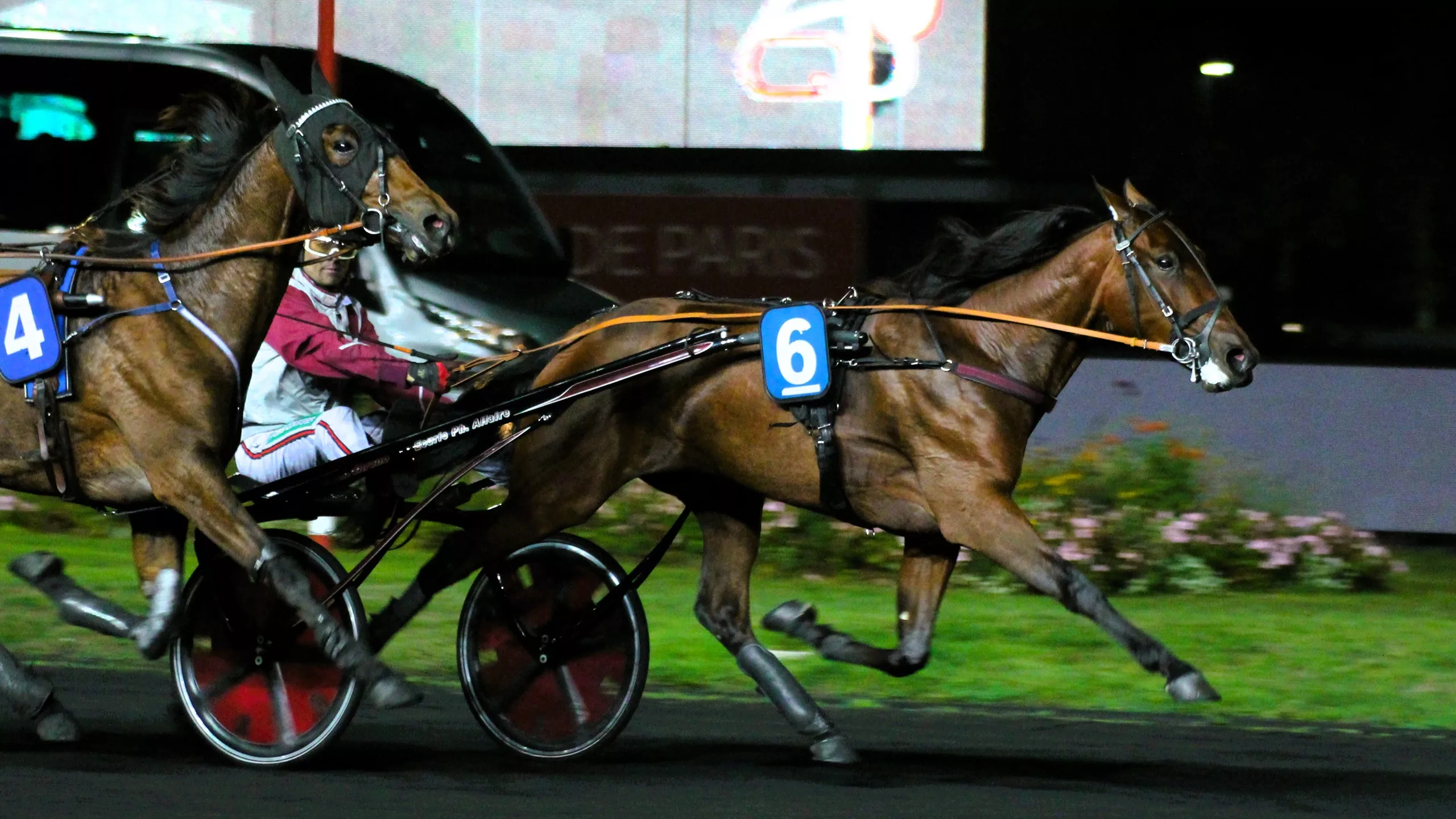 Pronostic quinté presse du vendredi 31 octobre 2025