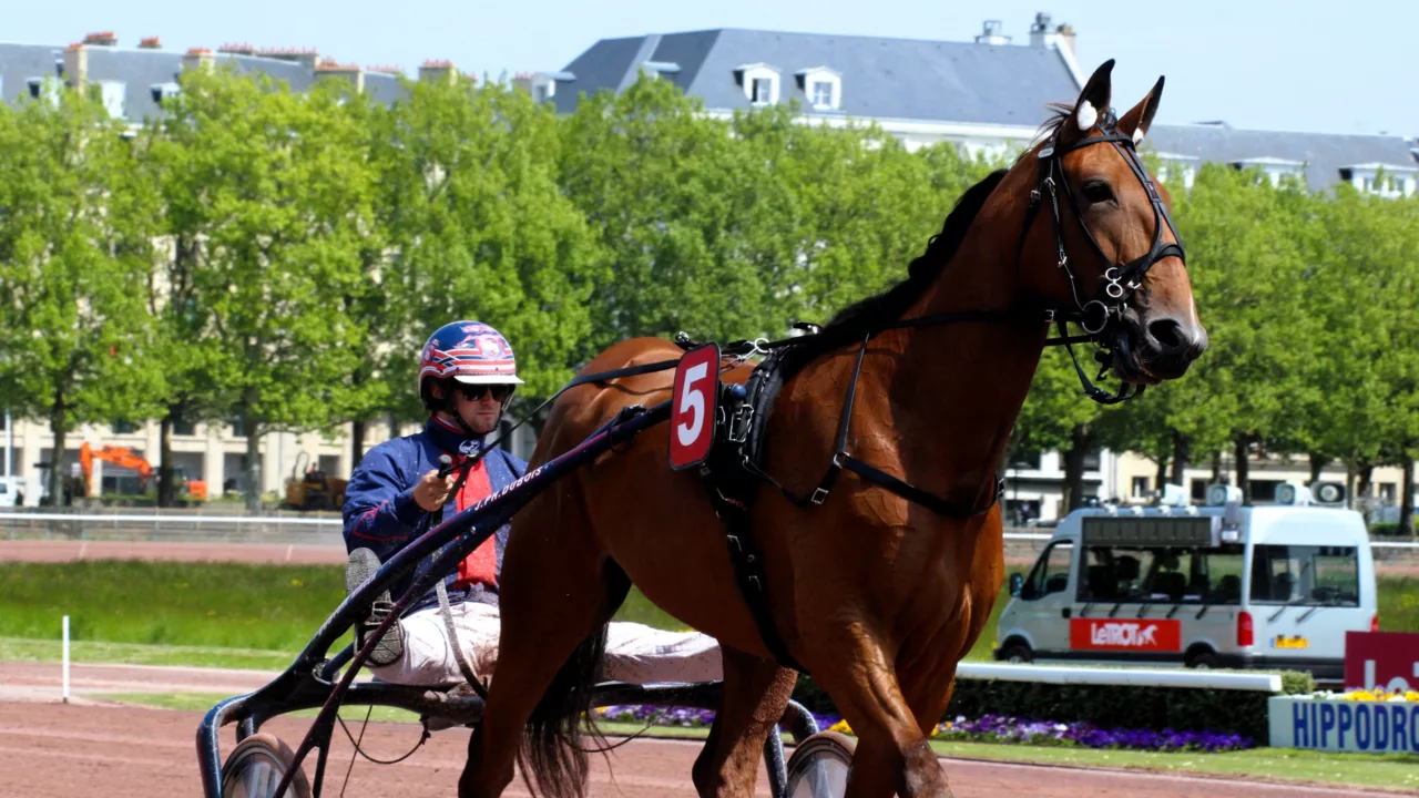 Pronostic quinté samedi 11 octobre 2025