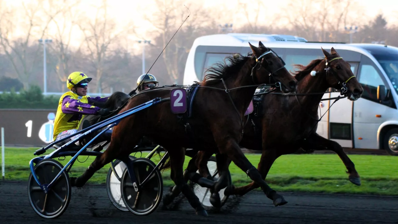 Pronostics de la presse PMU du jour - Quinté du mercredi 22 octobre 2025
