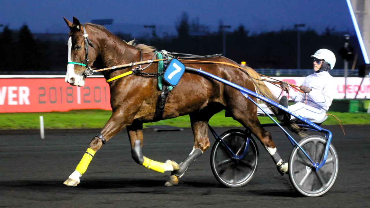 Pronostics de la presse PMU du vendredi 24 octobre 2025