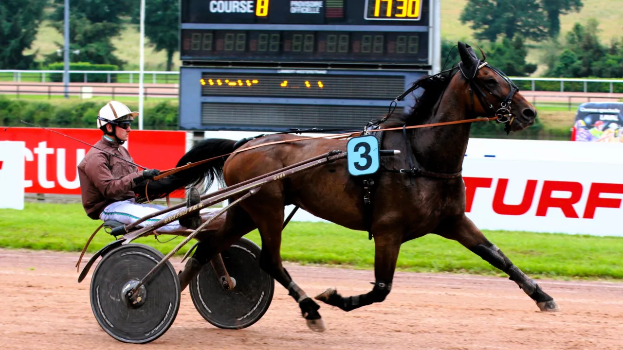 Pronostics de la presse quinté du mercredi 15 octobre 2025