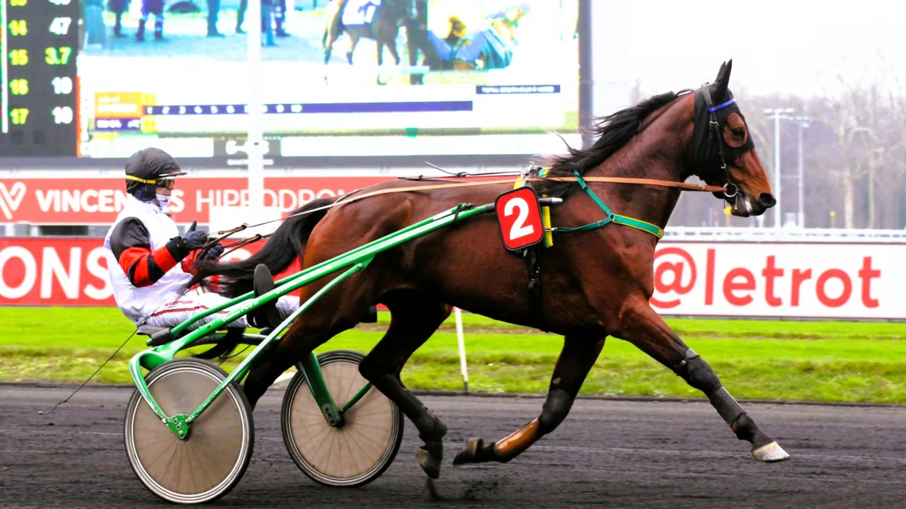 Pronostics presse PMU du mardi 4 novembre 2025