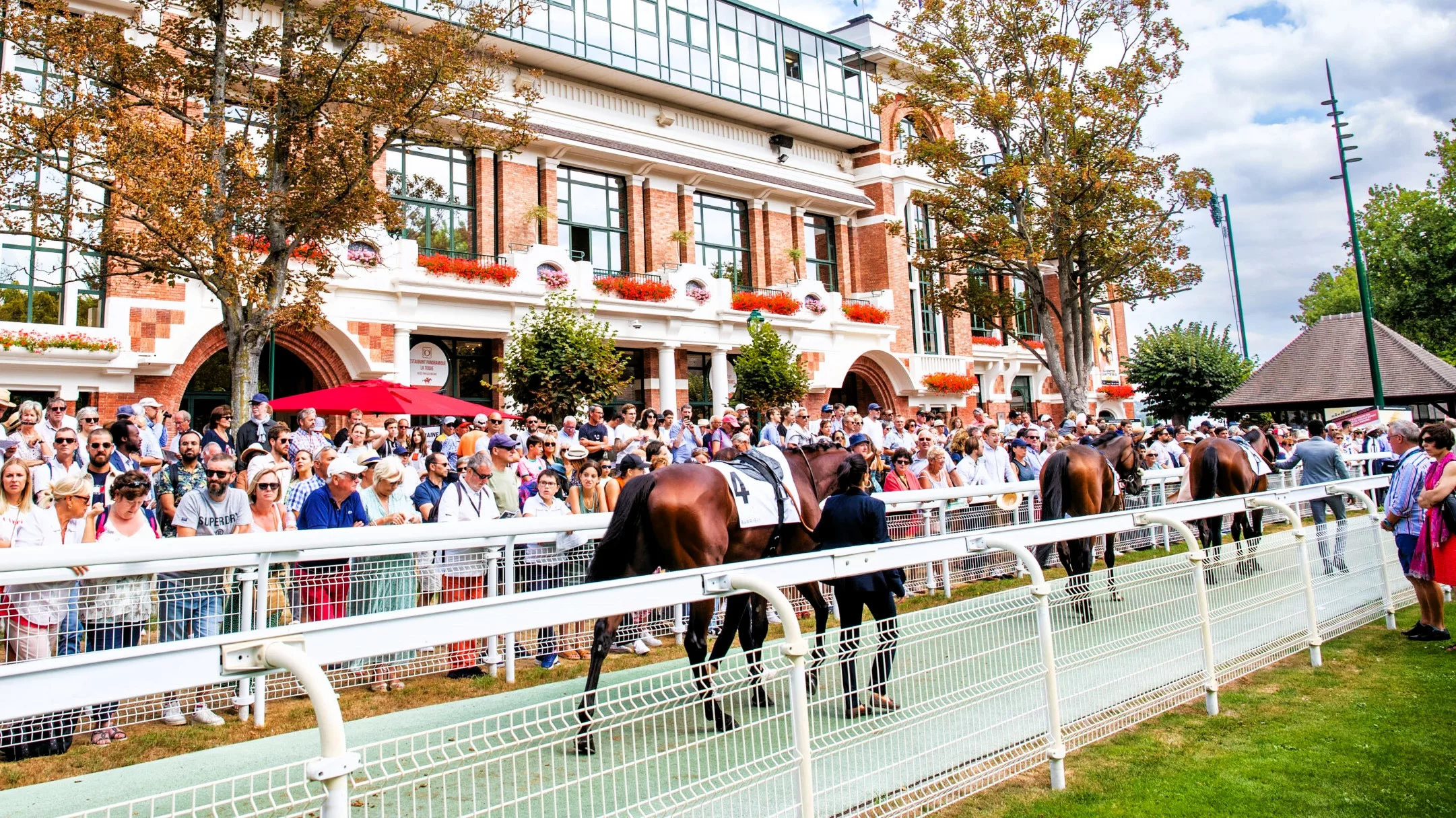 Quinté du dimanche 2 novembre 2025 au PMU pronostic des meilleurs journalistes