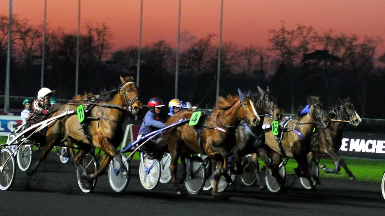 Résultat PMU du vendredi 24 octobre 2025