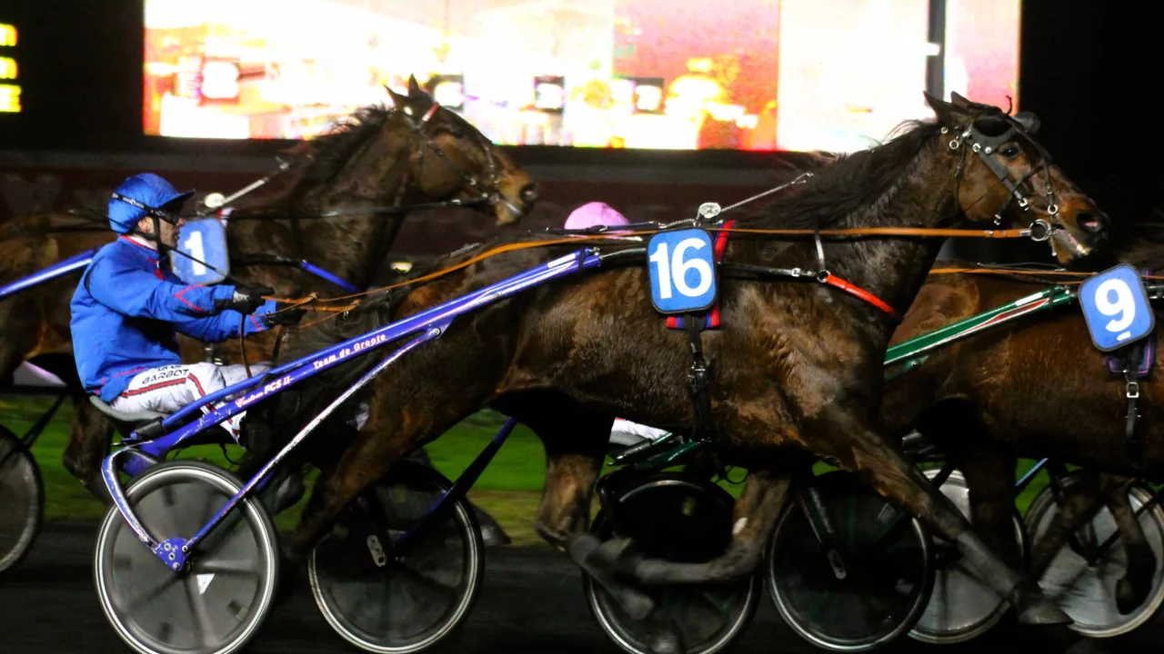 Résultat Quinté PMU du vendredi 17 octobre 2025