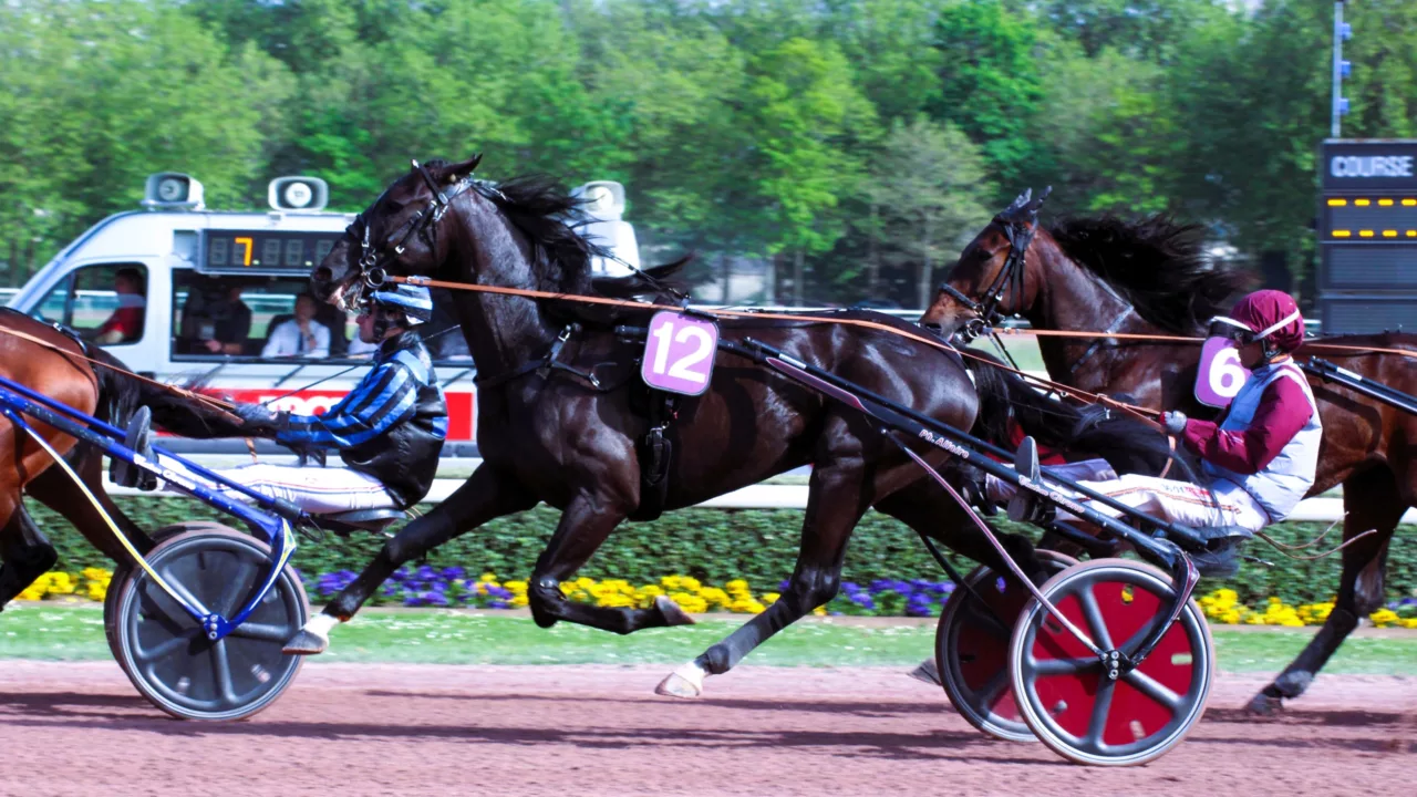 Résultat quinté PMU du mercredi 22 octobre 2025