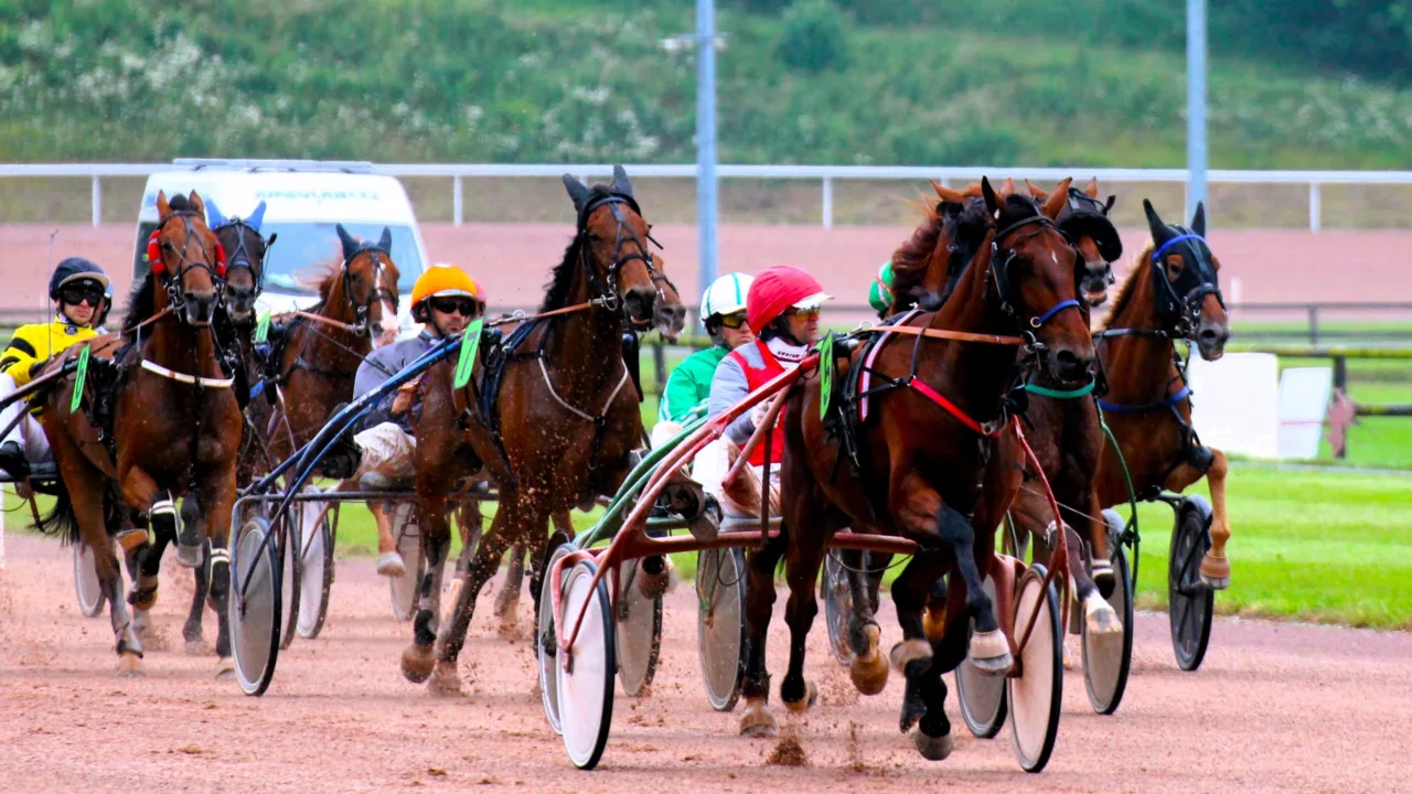 Résultat quinté du mercredi 15 octobre 2025