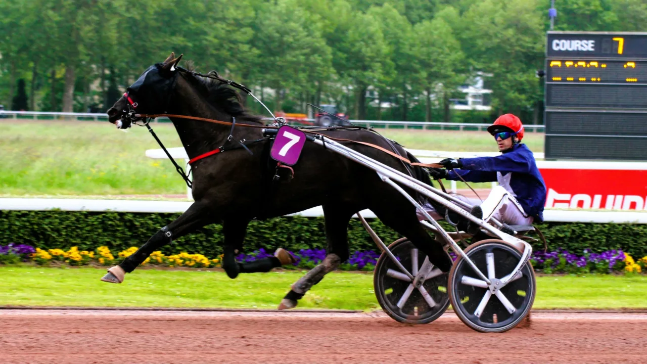 Résultat quinté samedi 11 octobre 2025