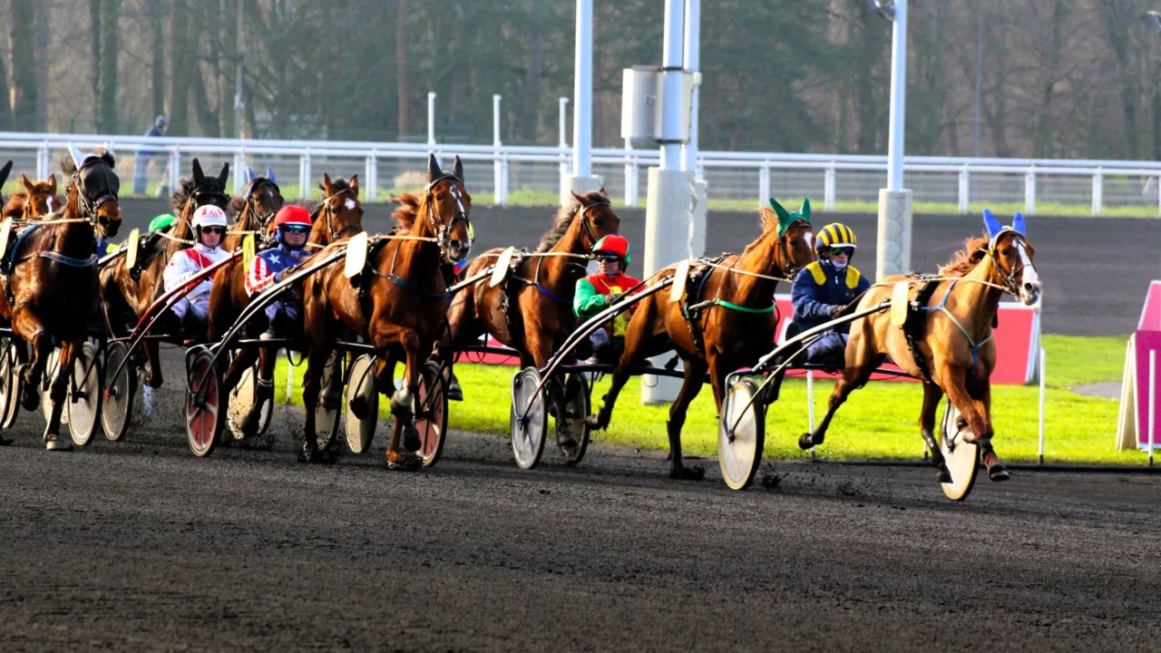 Résultats des pronostics envoyés aux abonnés en novembre 2025