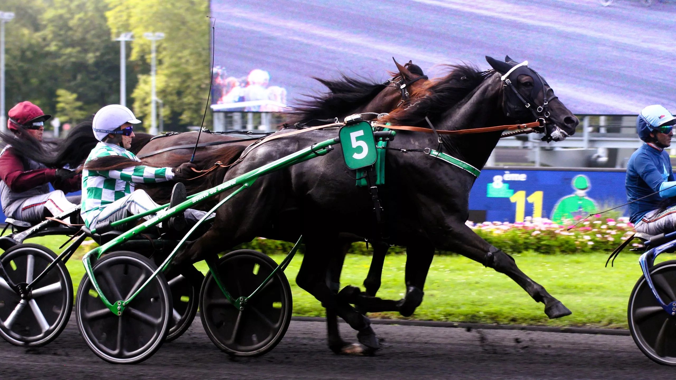 Arrivée du Quinté du dimanche 16 novembre 2025