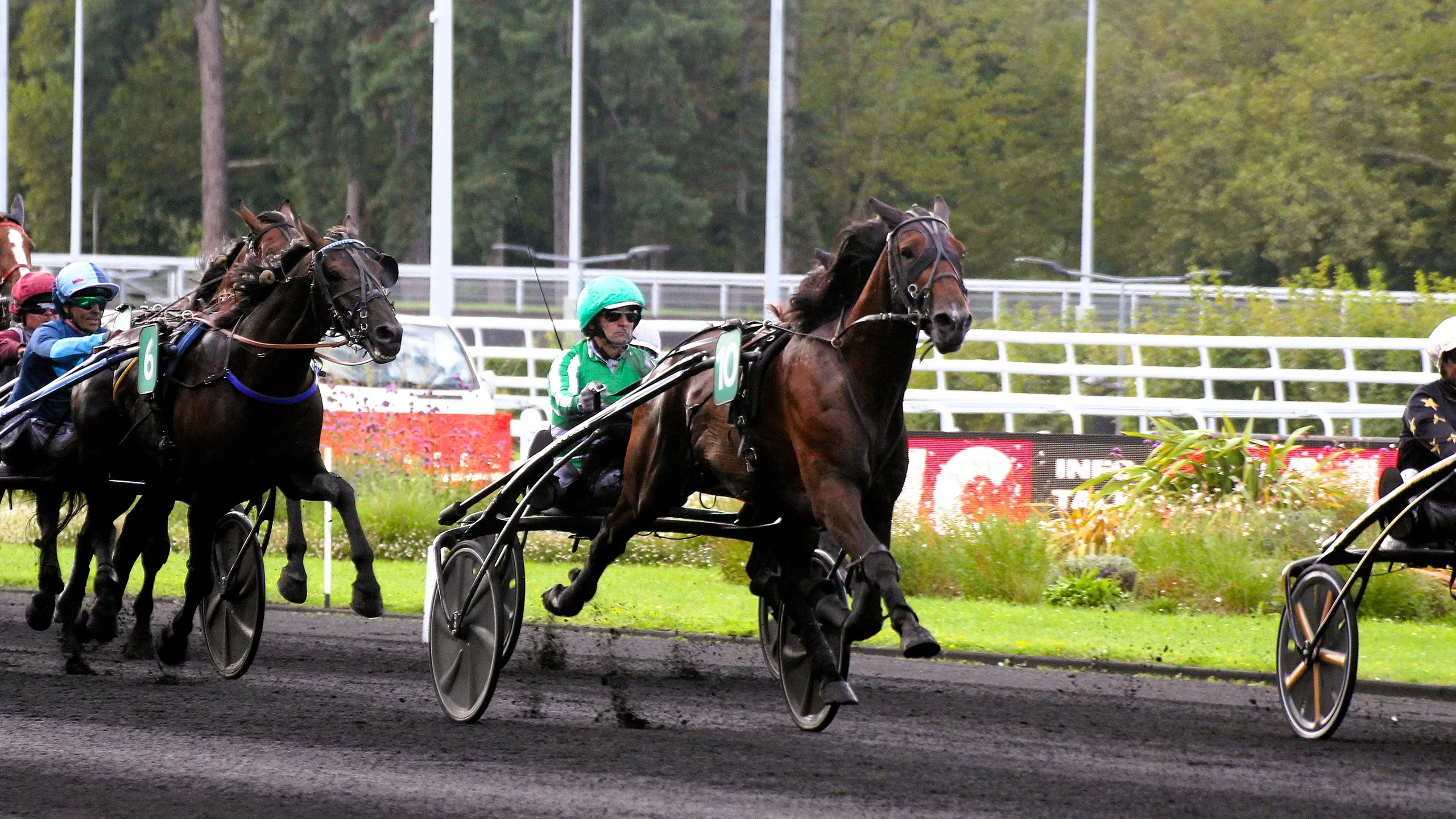 Arrivée du Quinté du dimanche 7 décembre 2025