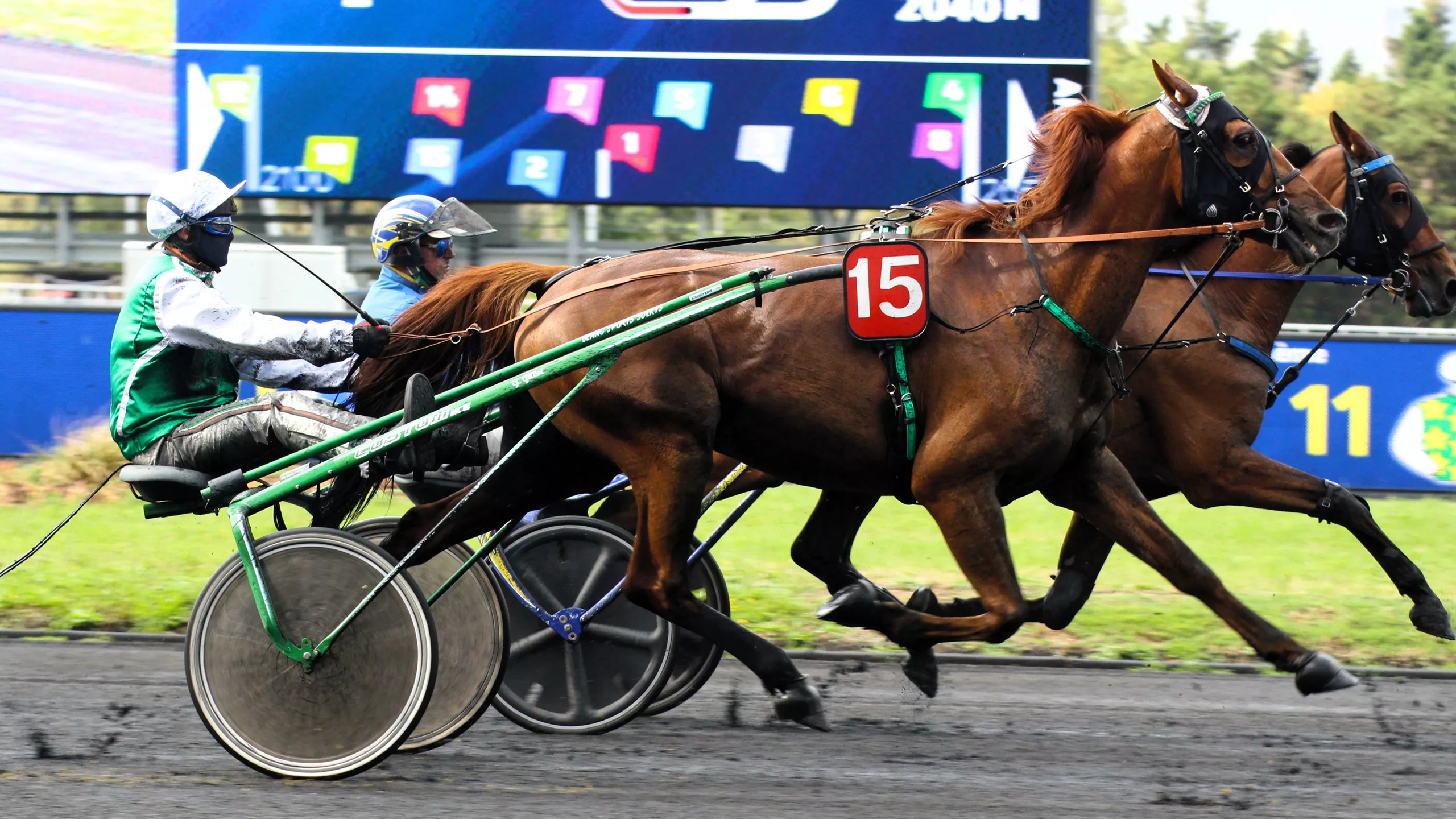 Arrivée du Quinté du jeudi 27 novembre 2025