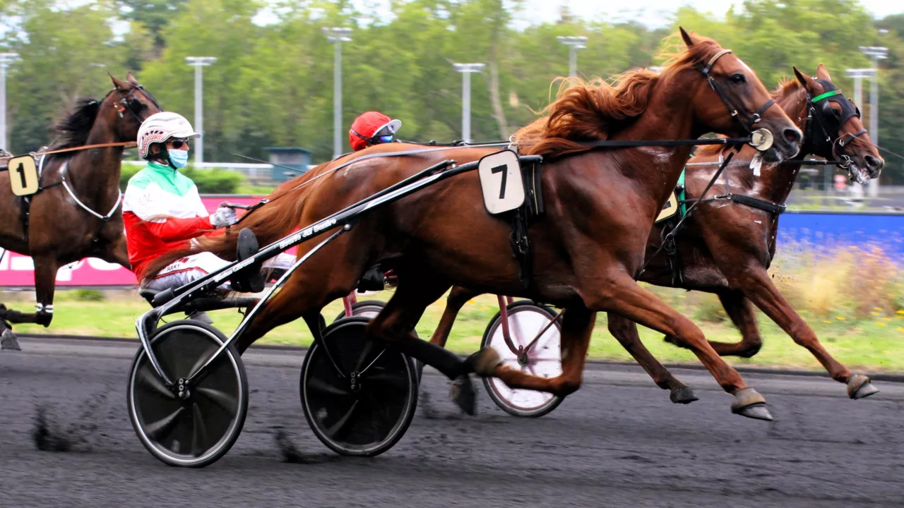 Arrivée du Quinté du jeudi 4 décembre 2025