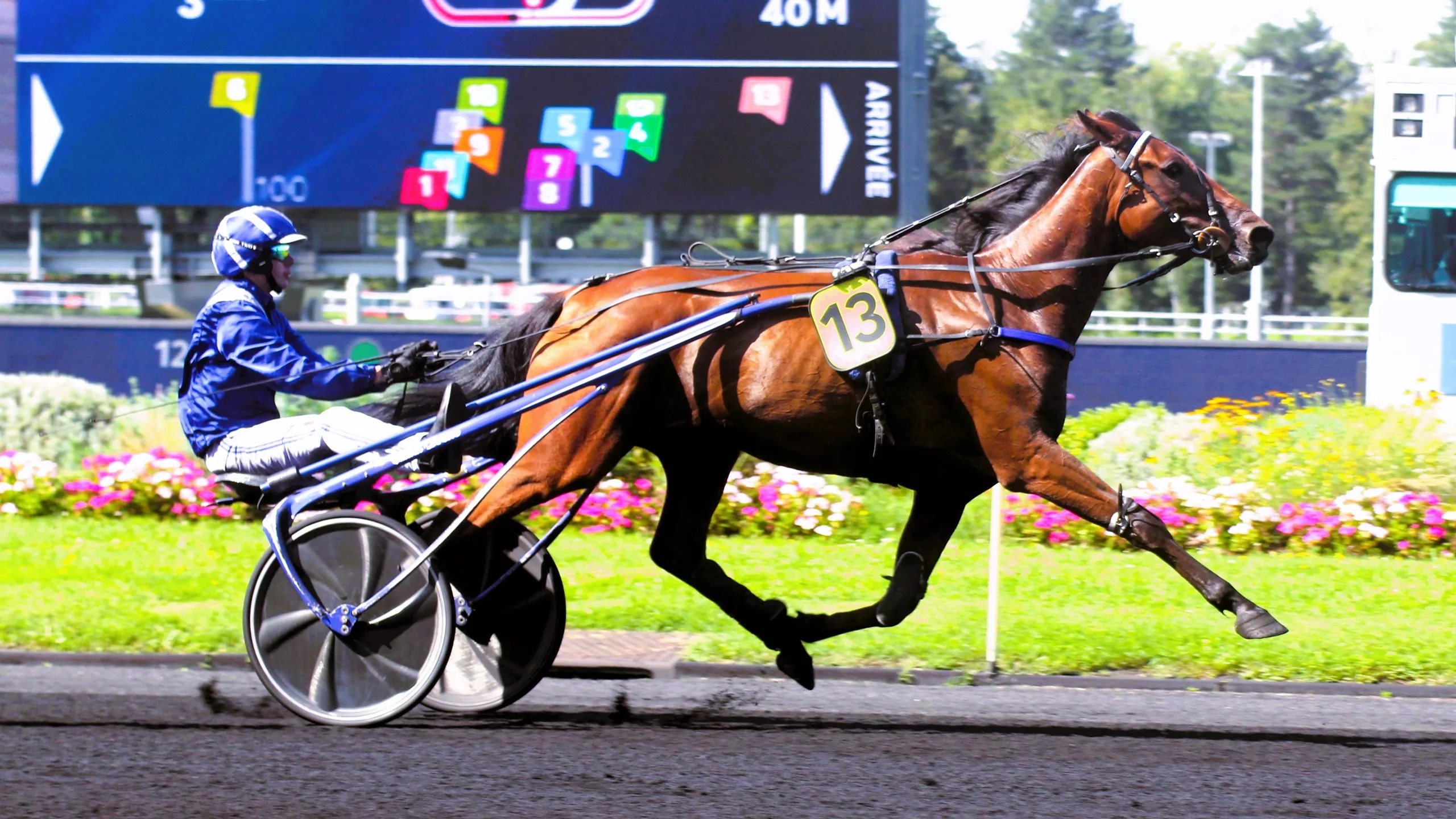 Arrivée du Quinté du lundi 17 novembre 2025