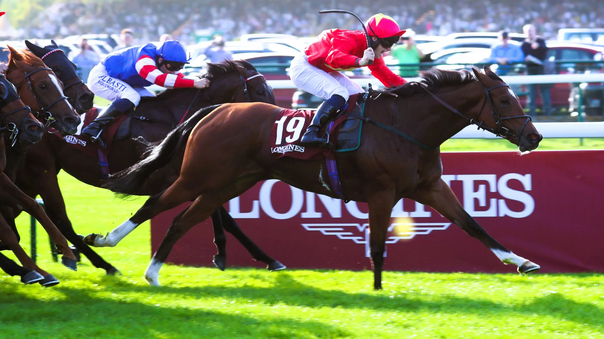 Arrivée du Quinté du mardi 11 novembre 2025