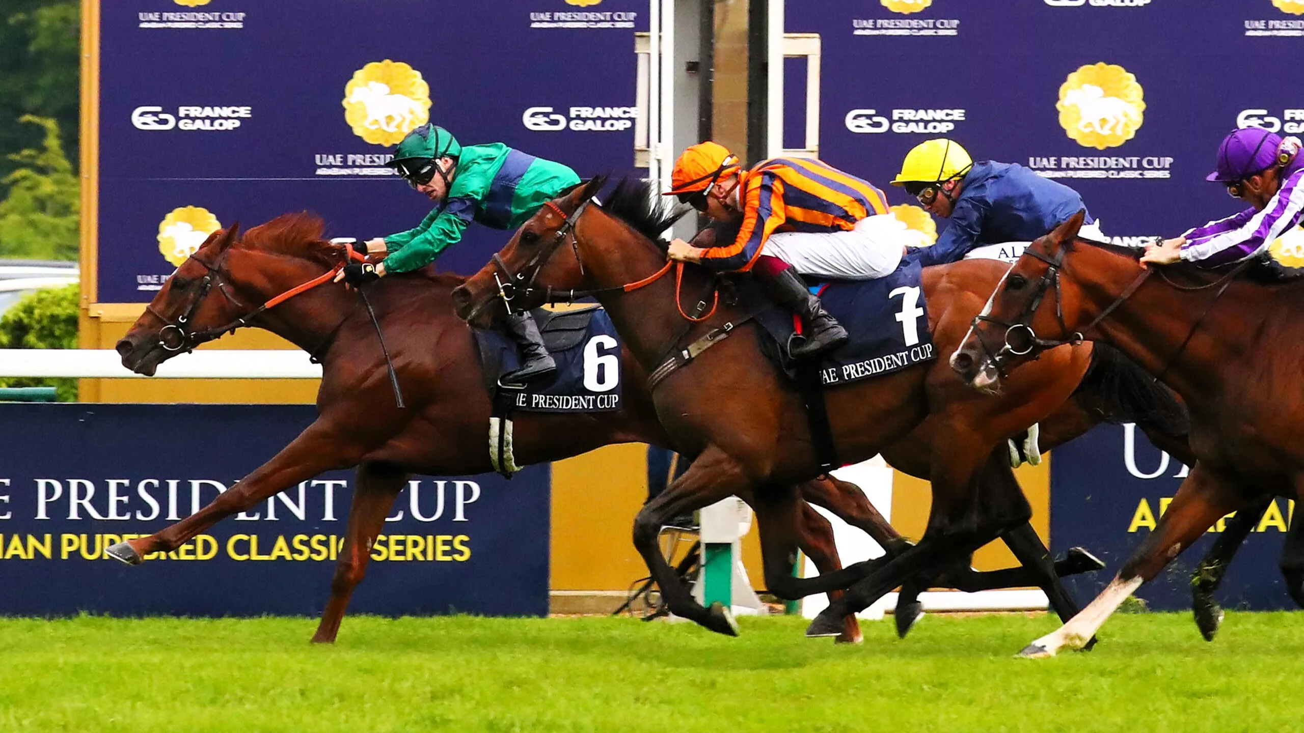 Arrivée du Quinté du mardi 18 novembre 2025