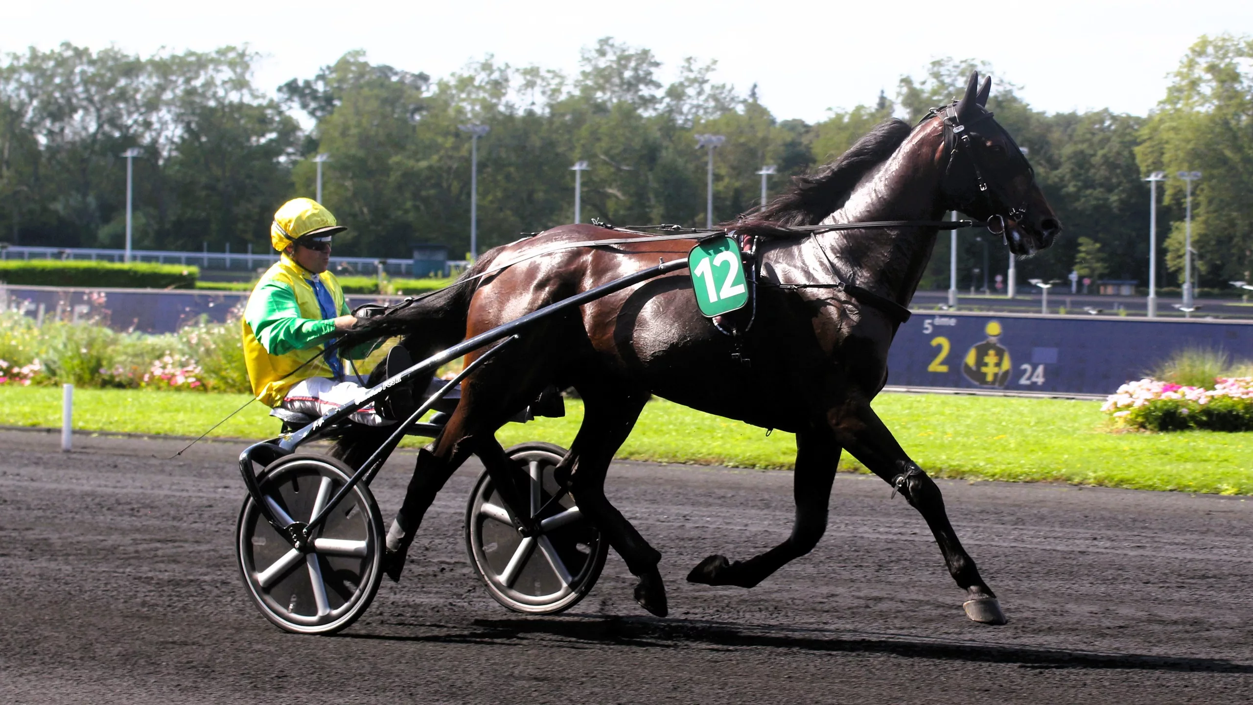 Arrivée du Quinté du mercredi 19 novembre 2025