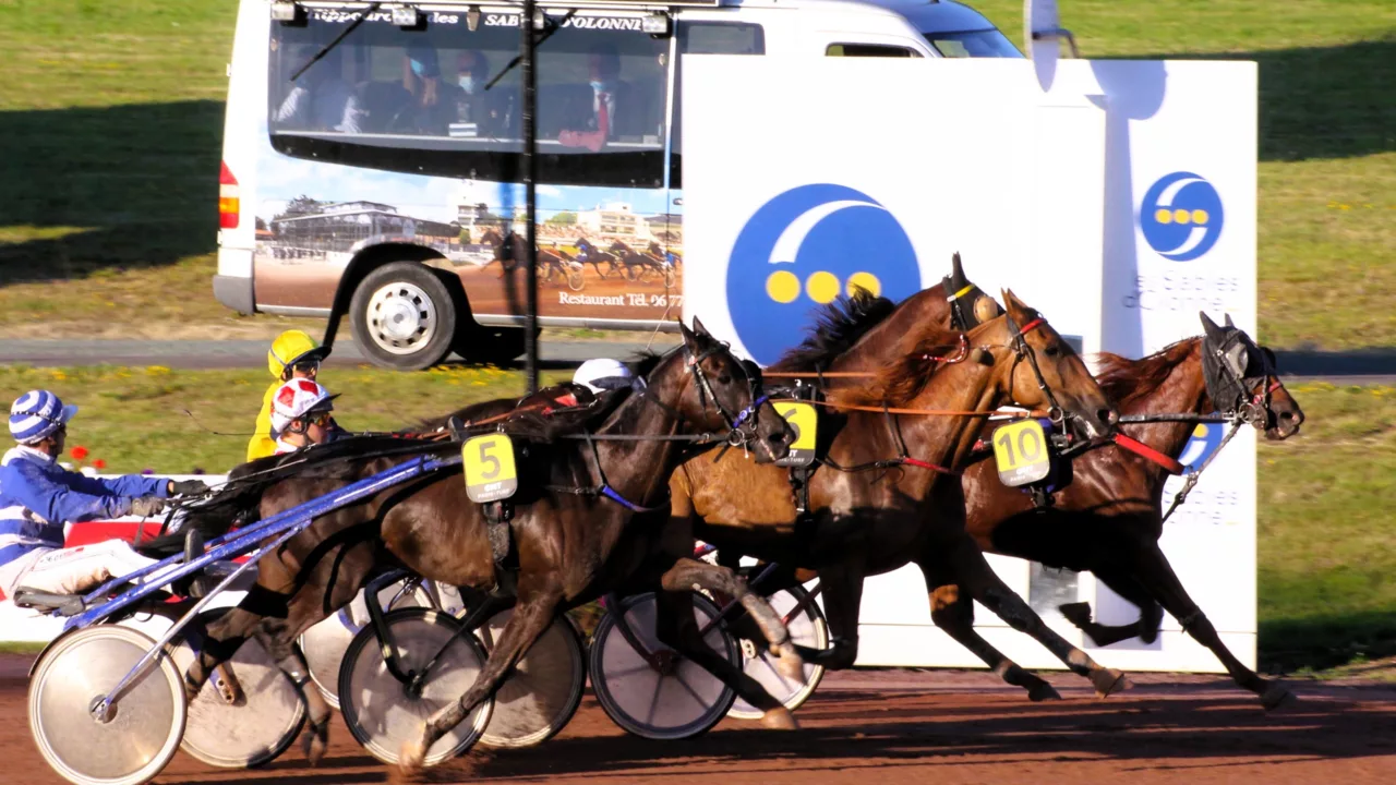 Arrivée du Quinté du mercredi 5 novembre 2025