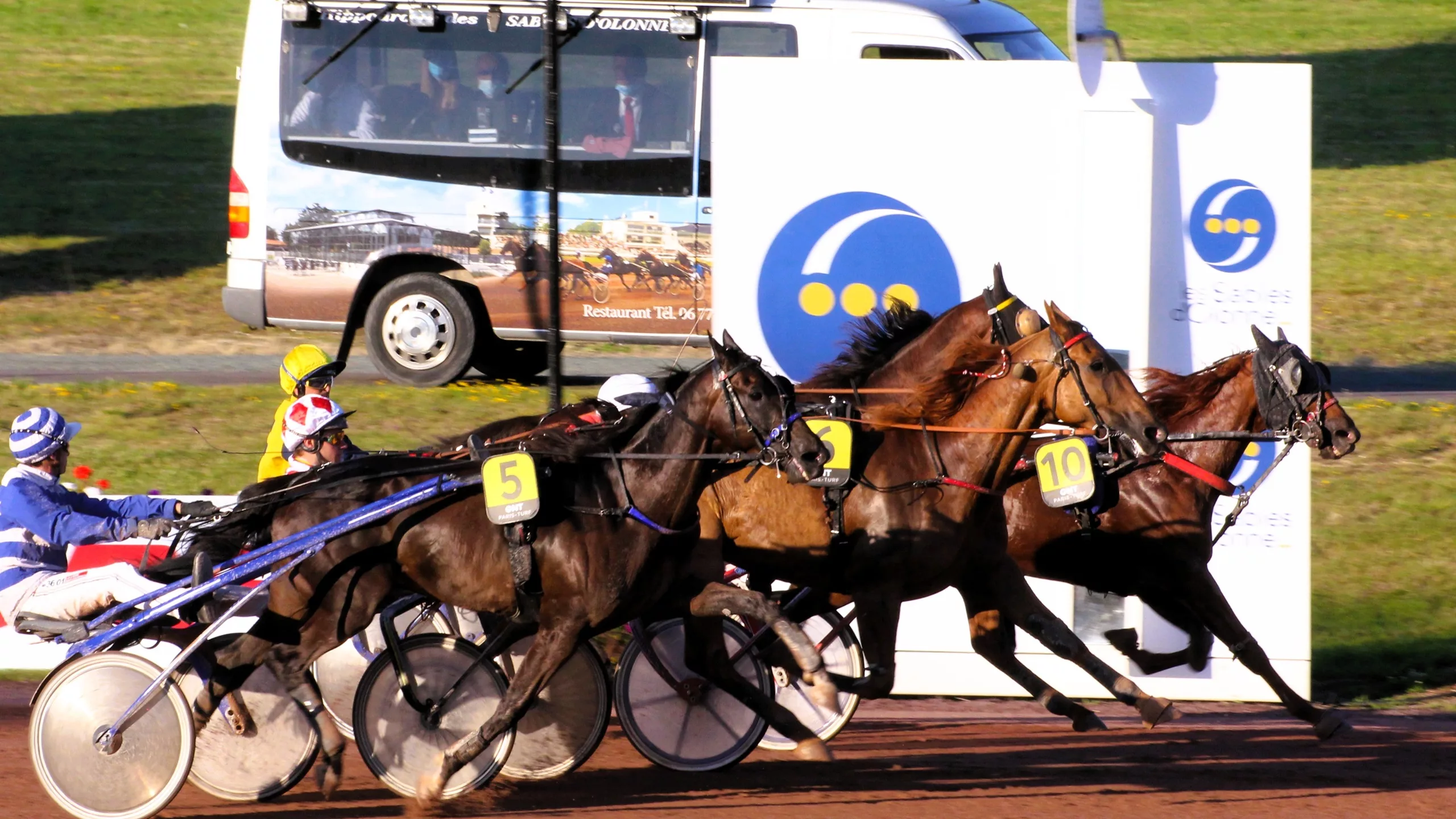 Arrivée du Quinté du mercredi 5 novembre 2025
