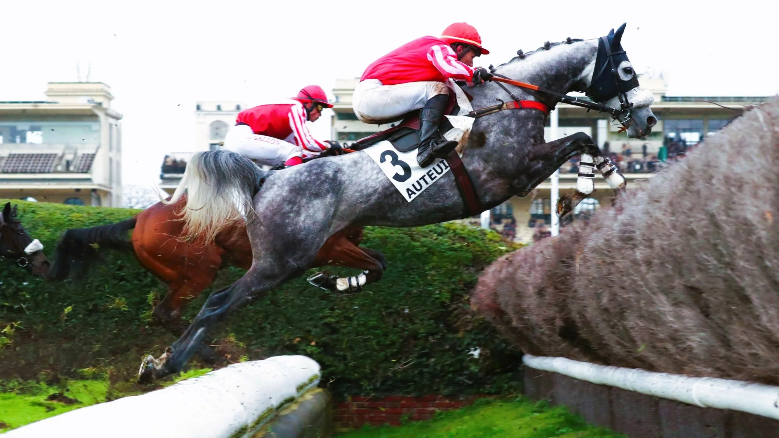 Arrivée du Quinté du samedi 15 novembre 2025 : Kikounette (n°14) dame le pion aux favoris !