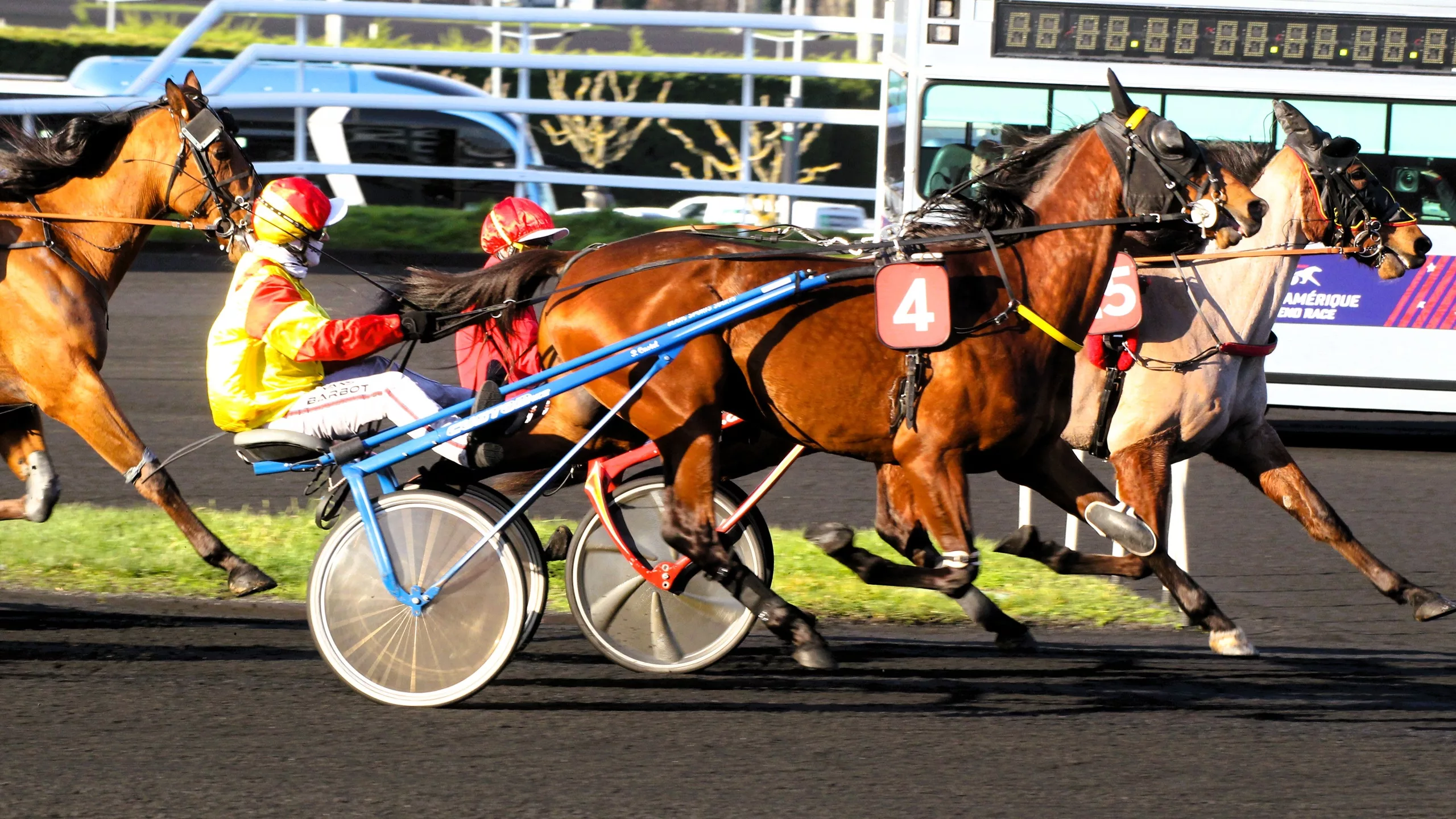 Arrivée du Quinté du samedi 22 novembre 2025