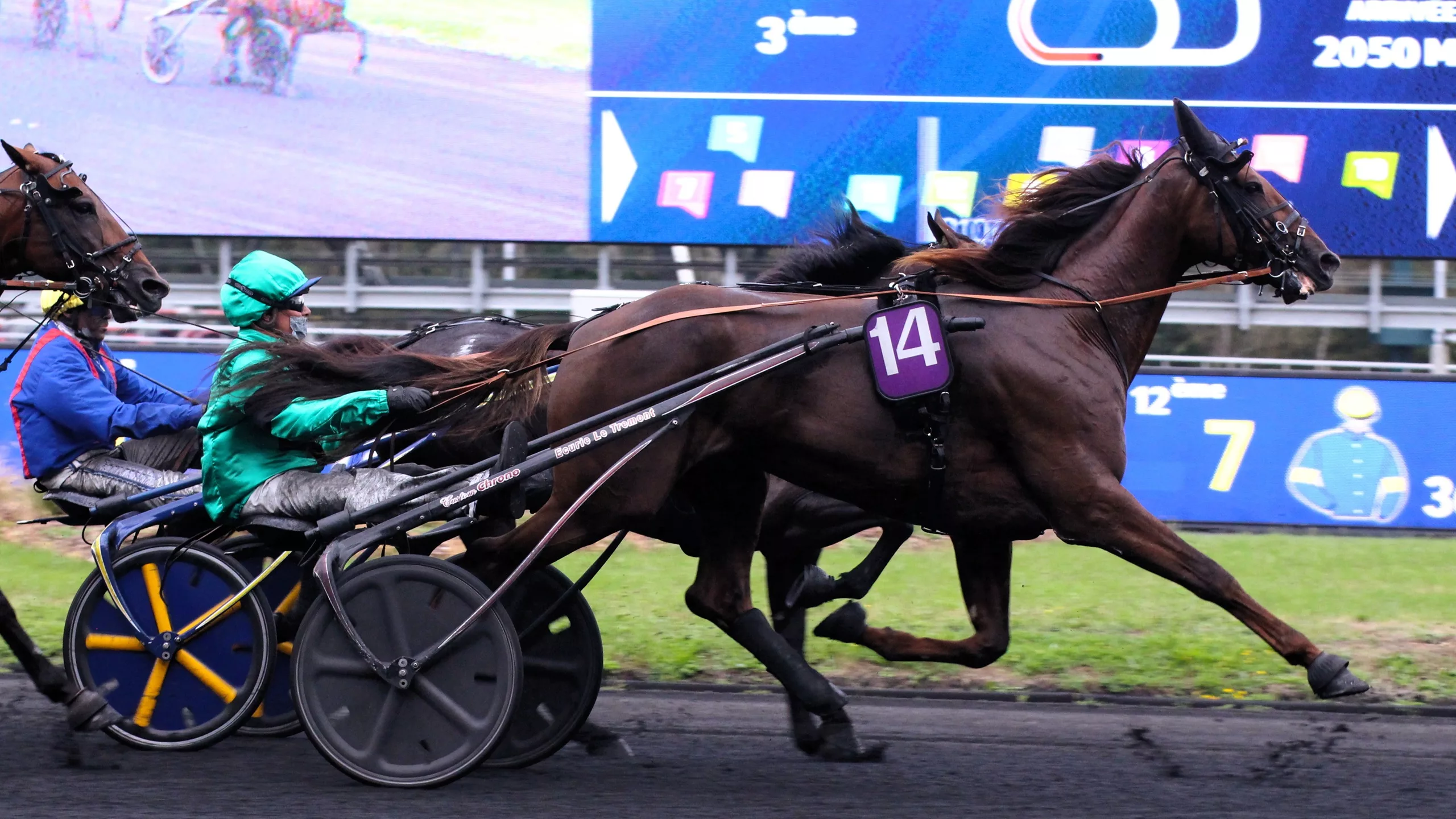 Arrivée du Quinté du samedi 29 novembre 2025 : Idylle Express (n°15), impressionnante de facilité !