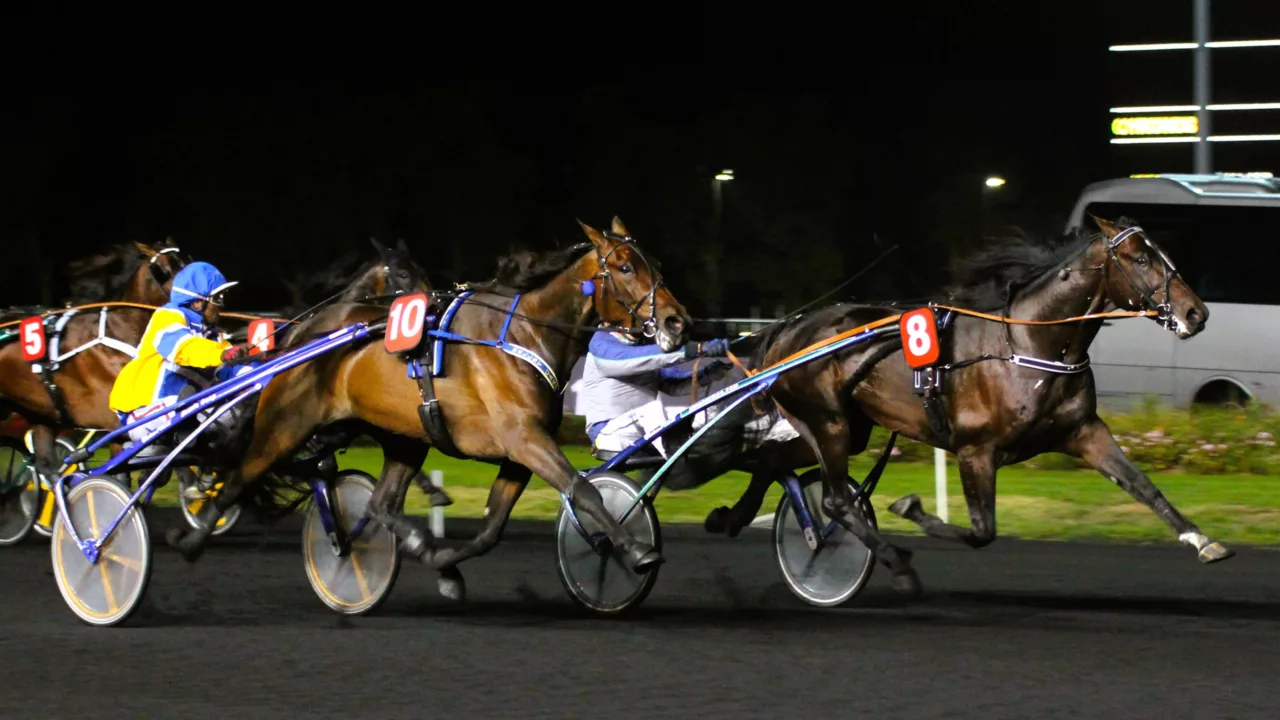 Arrivée du Quinté du vendredi 14 novembre 2025