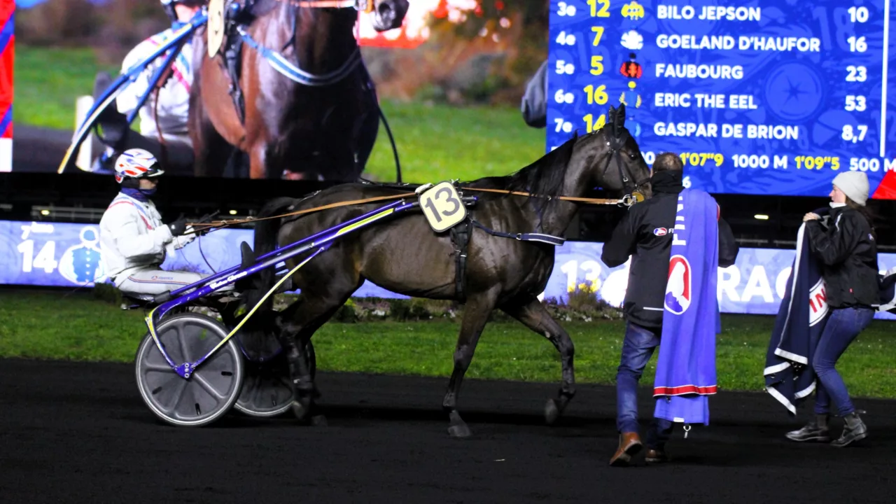 Arrivée du Quinté du vendredi 28 novembre 2025