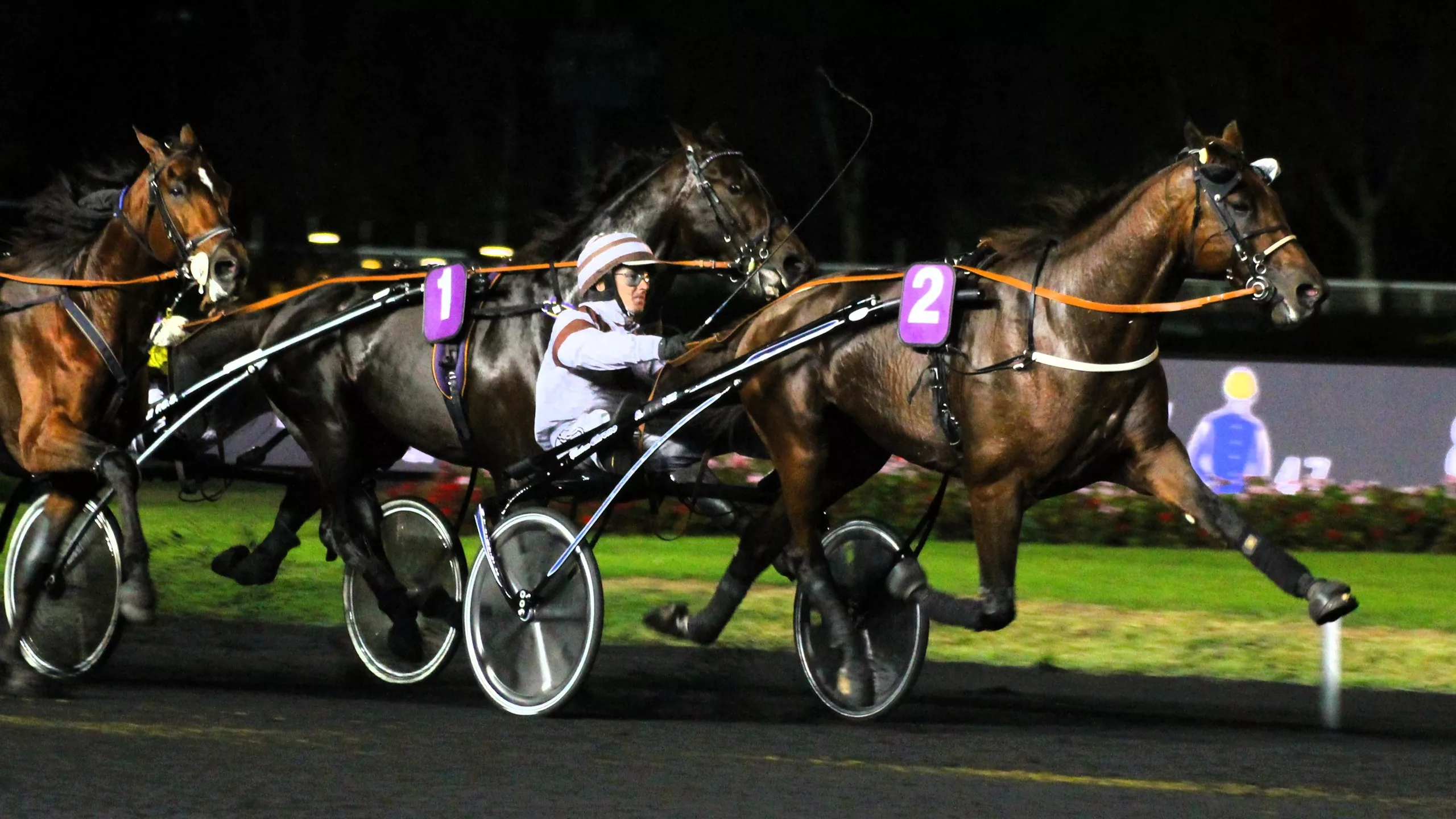 Arrivée du quinté du vendredi 21 novembre 2025