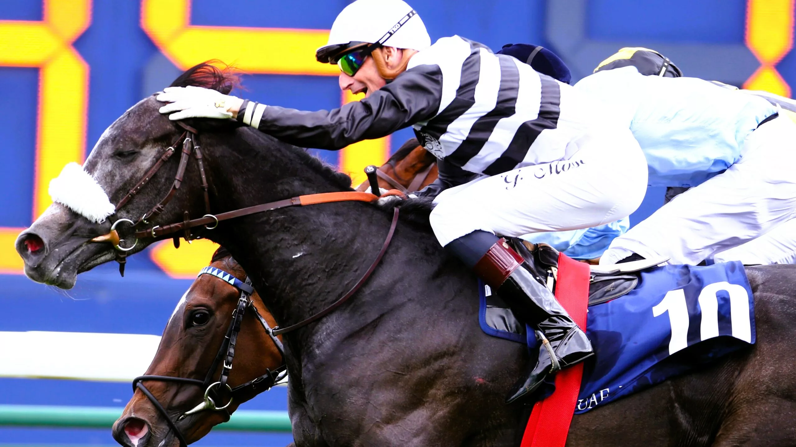 Pronostic PMU Quinté du mardi 18 novembre 2025