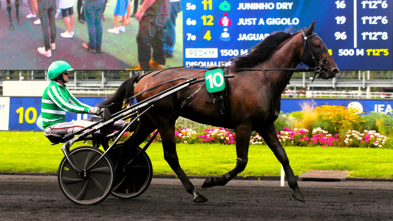 Pronostic Prix de Bretagne 2025 Quinté du dimanche 16 novembre à Vincennes