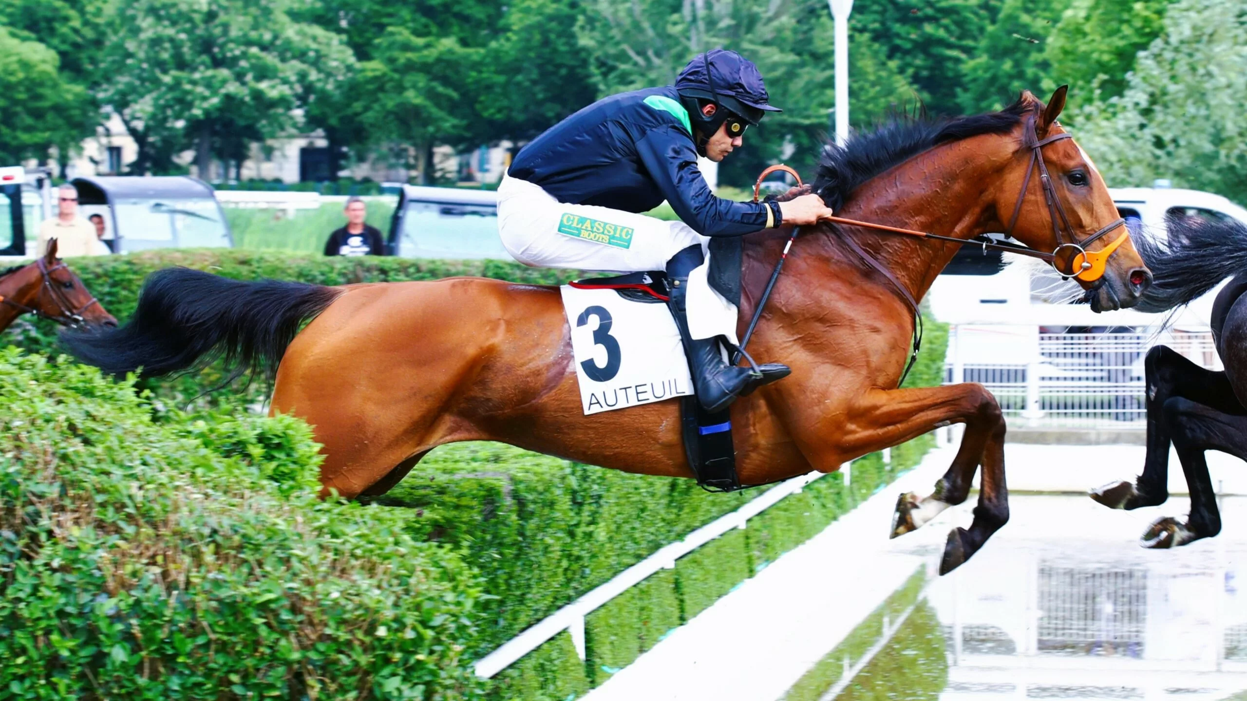 Pronostic Quinté du dimanche 23 novembre 2025